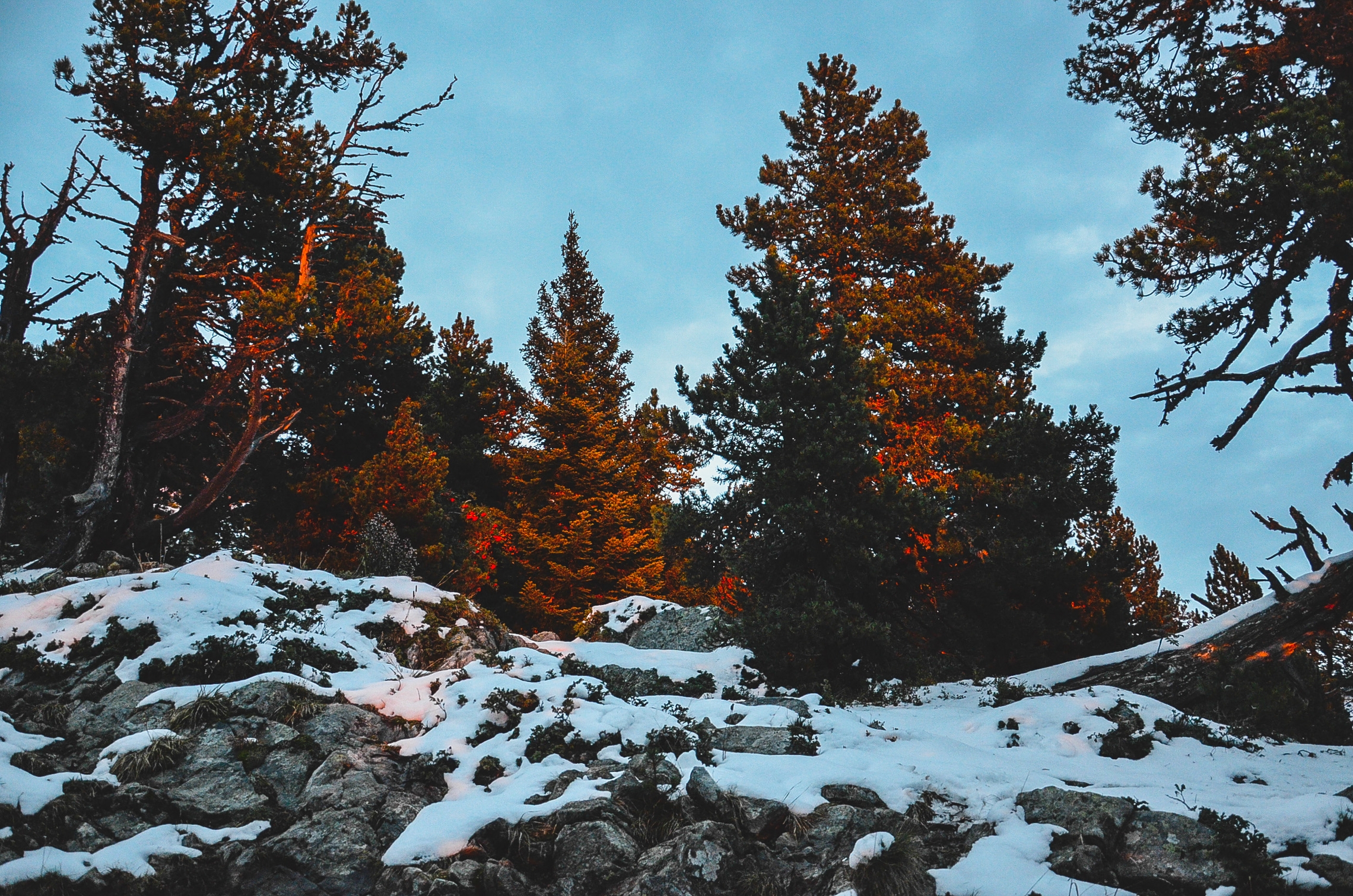 10368531385 d1803381ae o